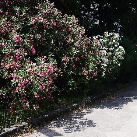 Apartment Garden โกตอร์ ภายนอก รูปภาพ