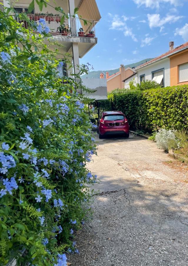 Apartment Garden โกตอร์ ภายนอก รูปภาพ